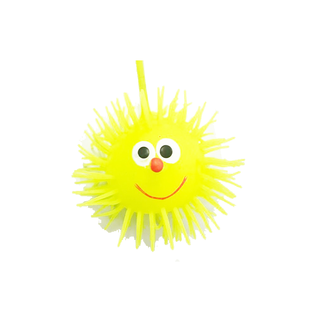 Ball with Hair Toy