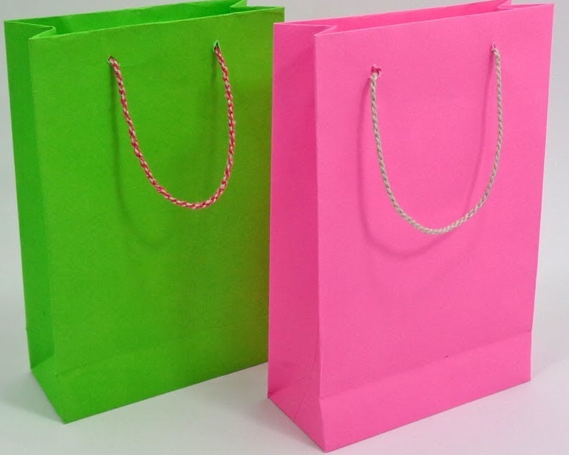 Paper Carry Bags Bright Colors 25x17cm (12pcs)
