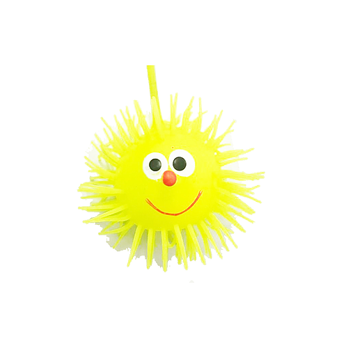 Ball with Hair Toy