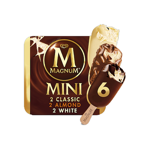 Magnum Ice Cream Mini Double Chocolate Caramel 360ml